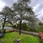 Modern House With Private Garden