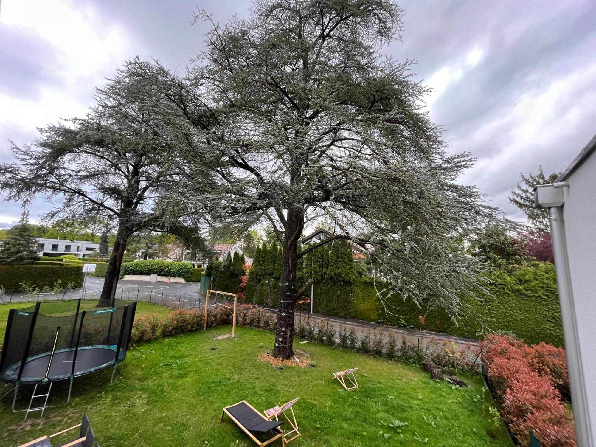 Modern House With Private Garden *